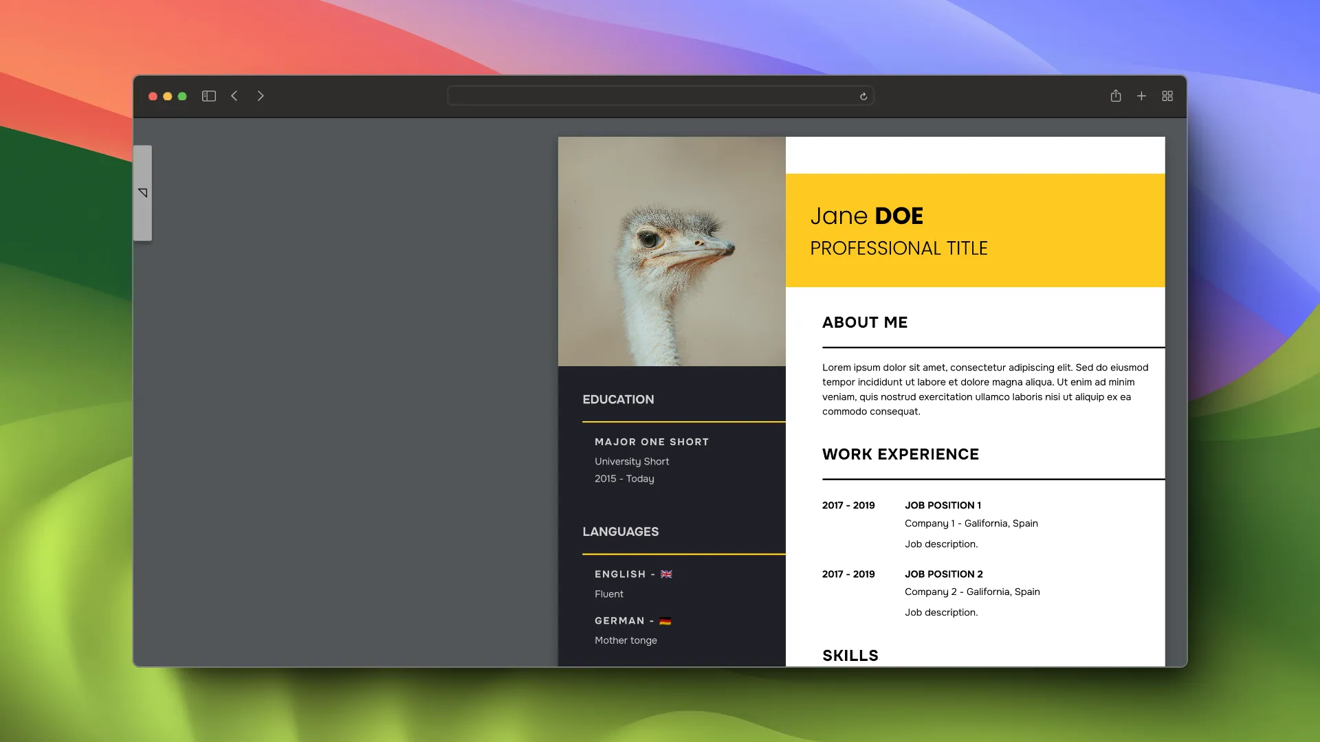 Captura de pantalla un CV generado por la app